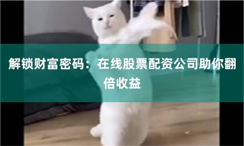 解锁财富密码：在线股票配资公司助你翻倍收益